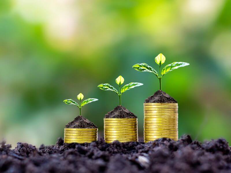 Wealth Mindset